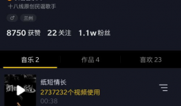 抖音短视频的歌曲,探寻流行旋律背后的情感共鸣