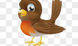 鸟的漫画图片,漫画中的鸟类风采